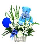 Ay�c�k ve balondan olu�an sepet aranjman<br>Mavi renkli ay�c�k ,balon ,lilyum , glav�r �i�eklerinden olu�an sepet i�erisinde aranjman . Ortalama �r�n boyutlar� 50x65 cm